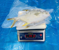 GOLDEN POMFRET WHOLE thumb