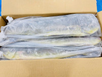 Frozen Mahi Mahi Gutted and Cleaned thumb