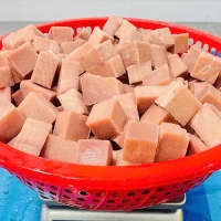 Frozen tuna cube