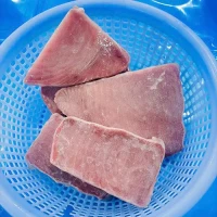 Frozen tuna steak