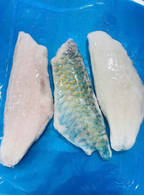 Frozen Parrot fillet skin on