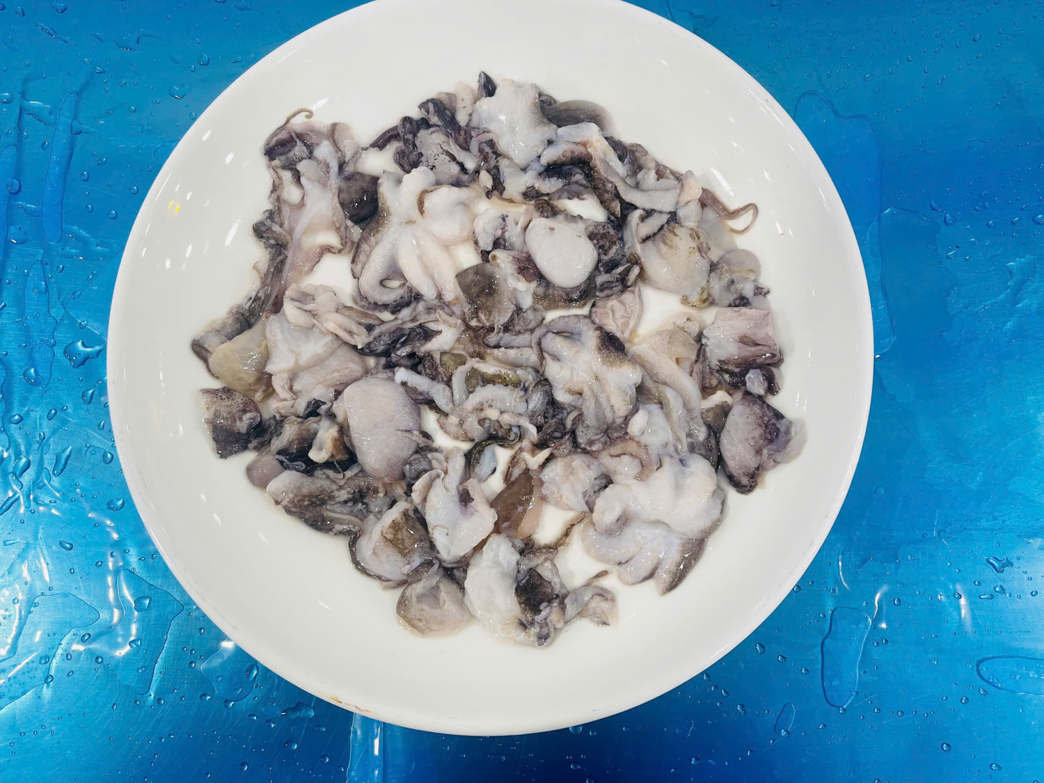 Frozen Octopus cube